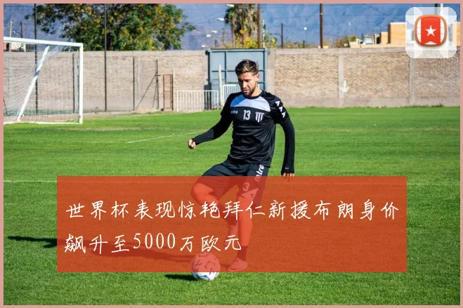 世界杯表现惊艳拜仁新援布朗身价飙升至5000万欧元